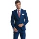 Costum albastru cu carouri